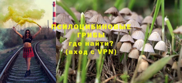 синтетический гашиш Алексеевка