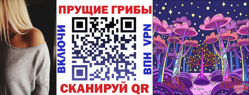 даркнет сайт Карасук Галлюциногенные грибы прущие грибы