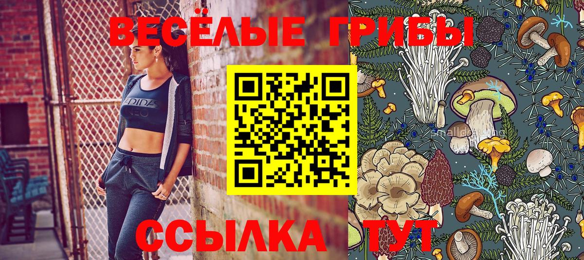 Галлюциногенные грибы прущие грибы Карасук